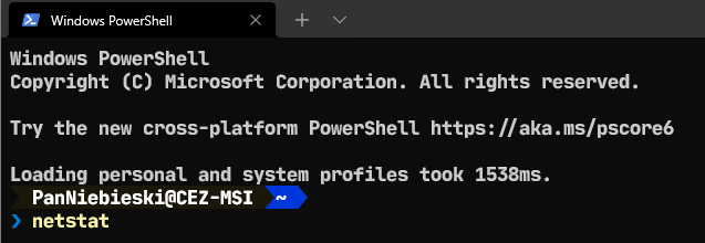 netstat w Windows Terminal